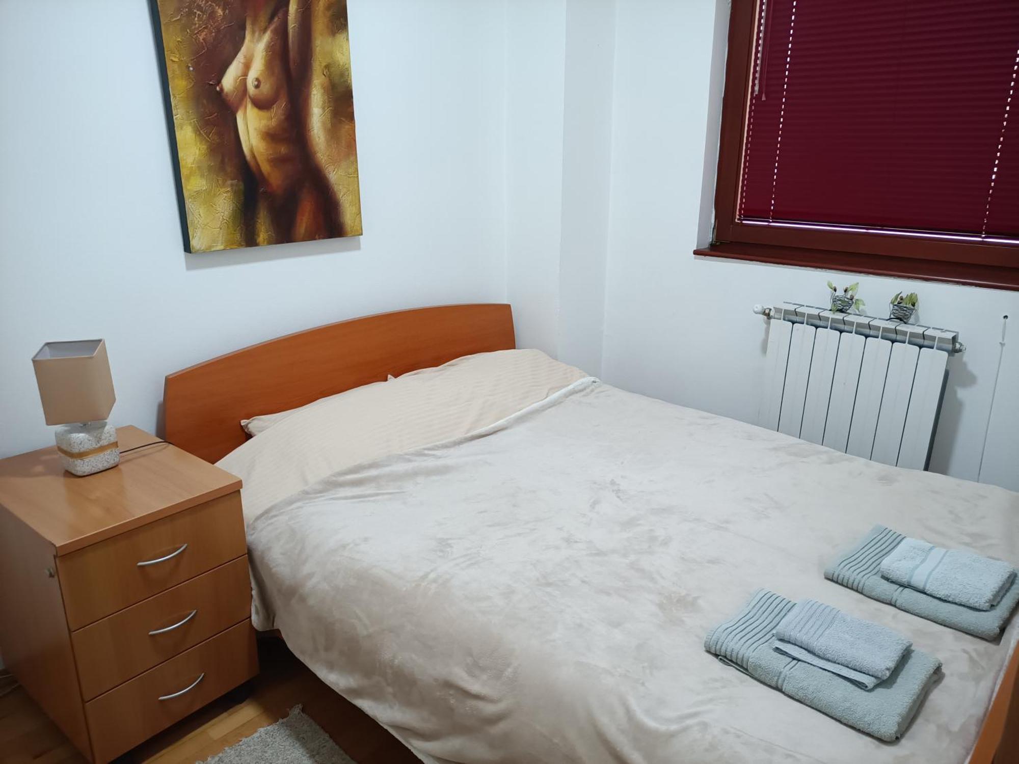 Apartament Centar Aleks