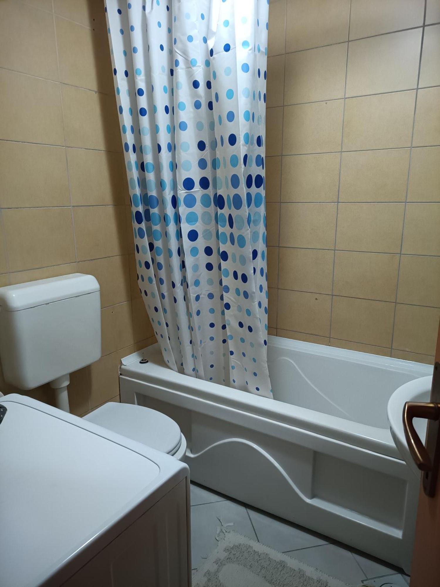 Centar Aleks Apartman *